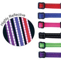 Beau Pets Adjustable Reflective Puppy Collar — Tidbit