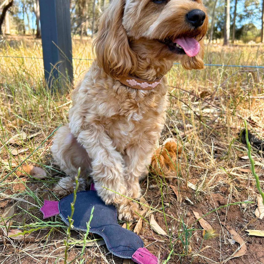 Georgie Paws – Paul the Platypus