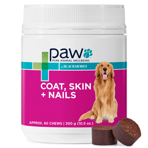 PAW by Blackmores Coat, Skin + Nails Multivitamin Chews 300g — Tidbit