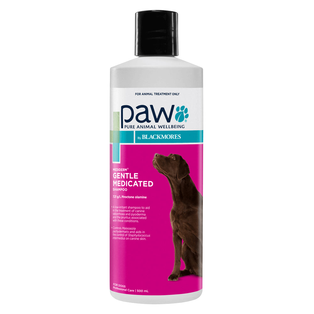 PAW MediDerm Gentle Medicated Shampoo — Tidbit
