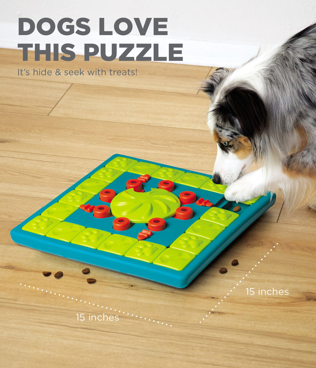 Outward Hound Nina Ottosson Dog MultiPuzzle (Level 4)