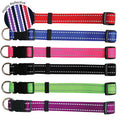Beau Pets Reflective Nylon Adjustable Collar Black — Tidbit