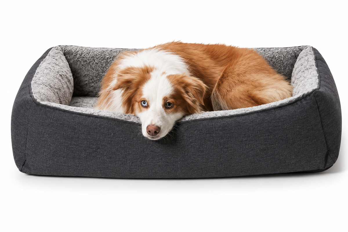 Snooza Ortho Snuggler Chinchilla dog bed