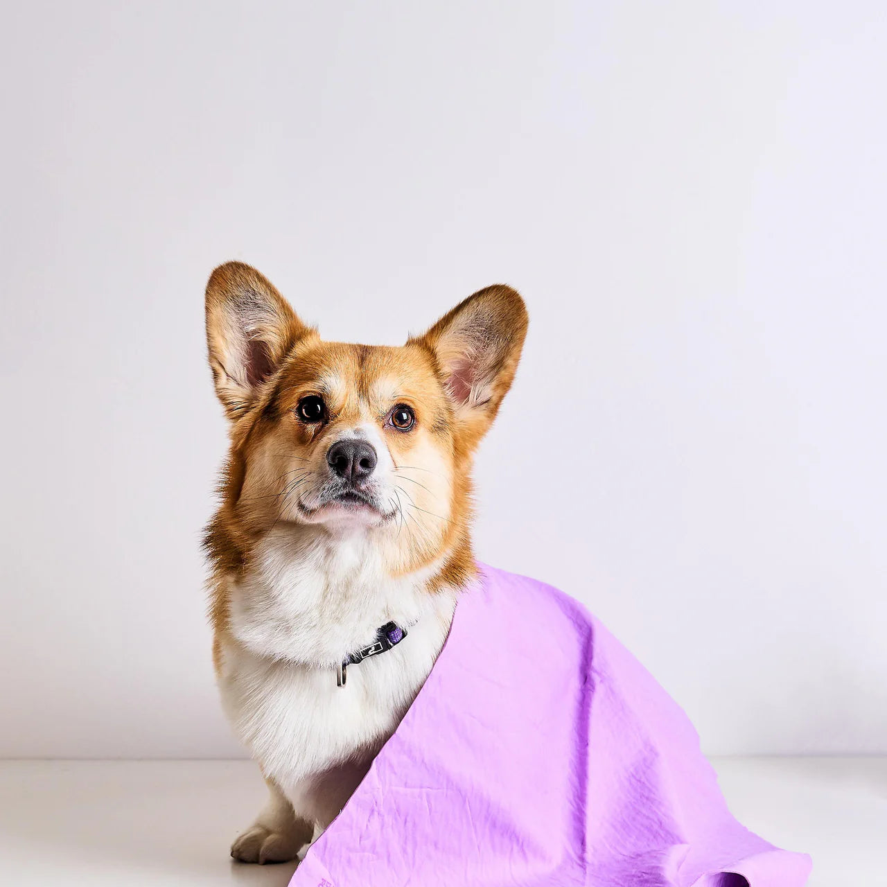 U Groom – Dog Drying Towel