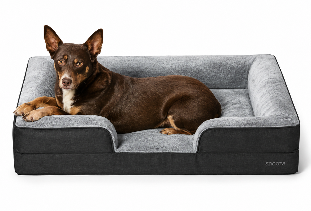 Dog resting on Snooza Ultra-Tuff Ortho Retreat