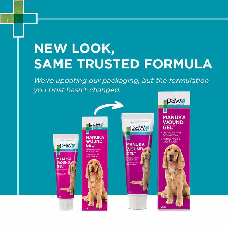 Blackmores PAW Manuka Wound Gel